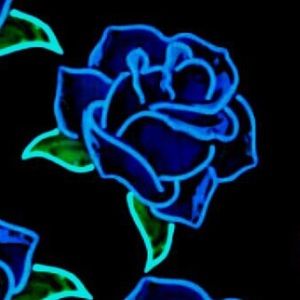 Meet your Posher, Jazzmyn